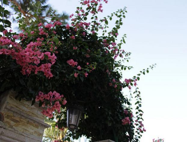 Chalet con piscina zona Novo Sancti Petri