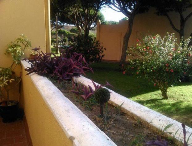 Apartamento primera lÃ­nea de playa